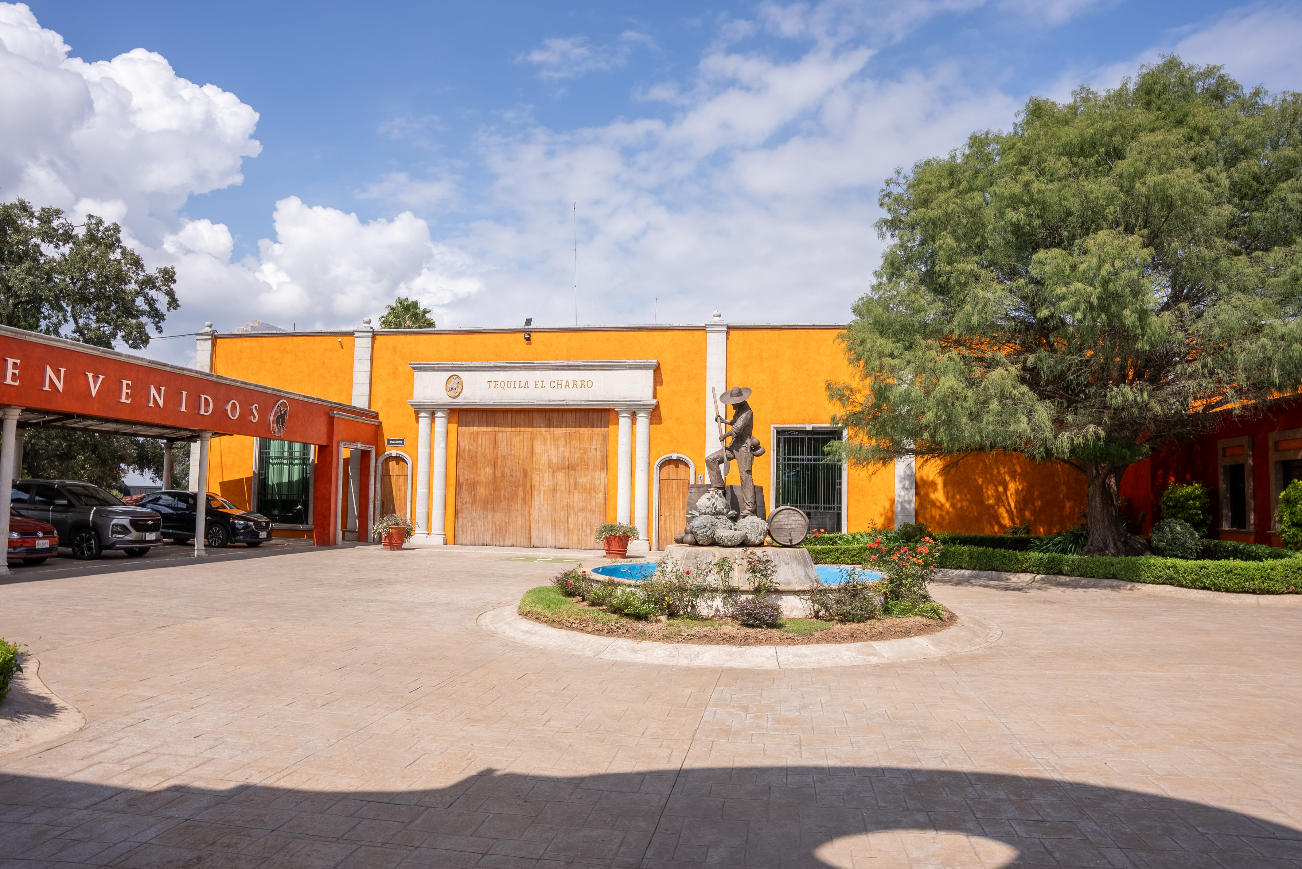 //pasiontequilas.com/cdn/shop/files/DSC00298.jpg?v=1702274054