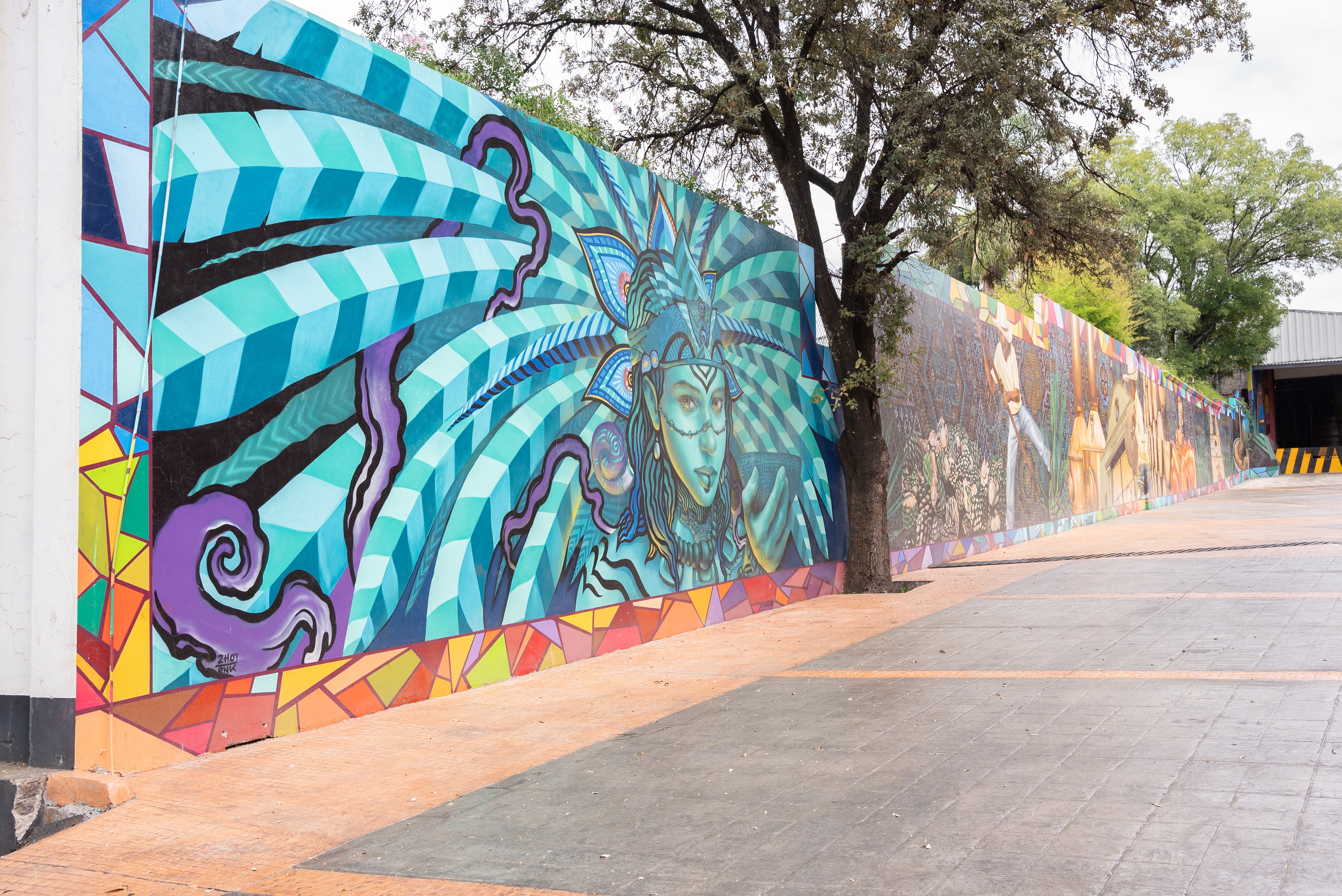 //pasiontequilas.com/cdn/shop/files/DSC00325.jpg?v=1702274118