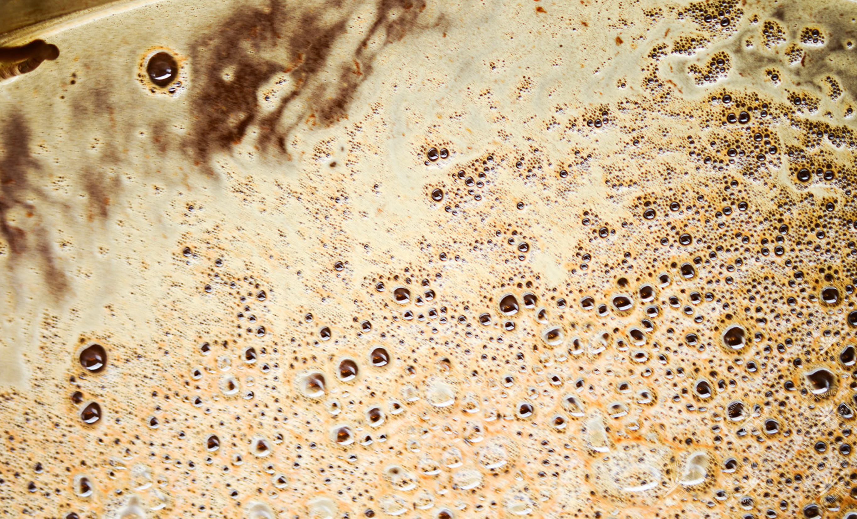 //pasiontequilas.com/cdn/shop/files/Screenshot_2023-12-15_at_11.16.00_AM.png?v=1702881033