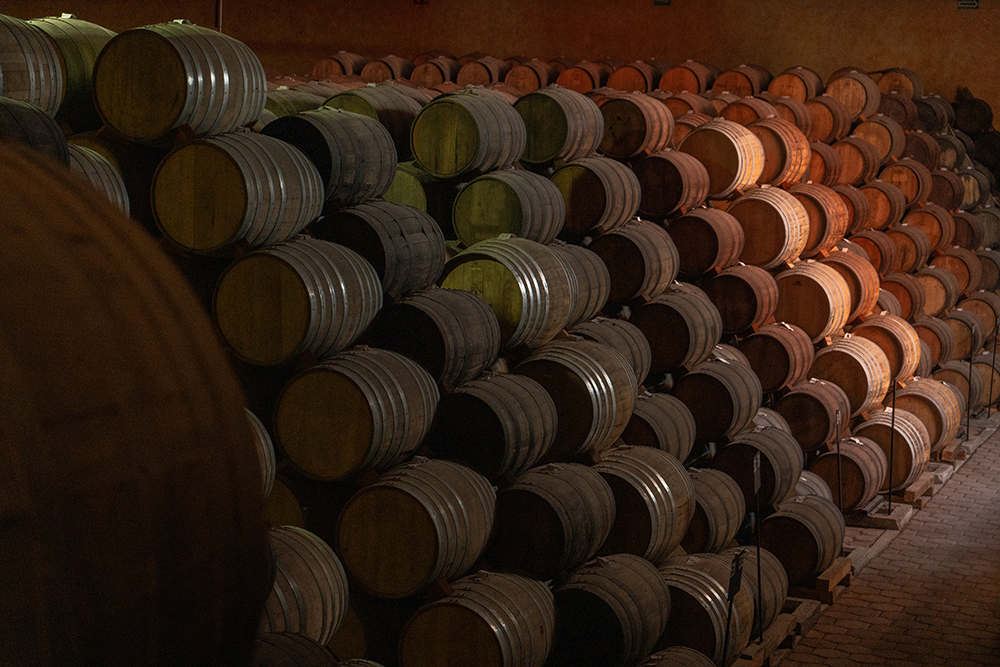 //pasiontequilas.com/cdn/shop/files/b_d.png?v=1702452586