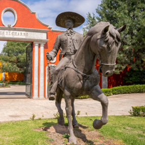 //pasiontequilas.com/cdn/shop/files/img1.png?v=1701944714