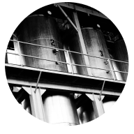 //pasiontequilas.com/cdn/shop/files/it4_96ffbf9c-e047-49fa-8bd1-318c09a82c74.png?v=1702012968