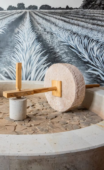 //pasiontequilas.com/cdn/shop/files/process_1_2d7532d5-00d4-49e9-8c62-6797607d917a.png?v=1703830162